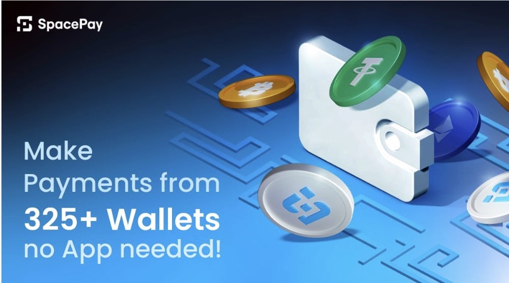 SpacePay: 4 Things to Know About the Crypto Payment System Raising $1M